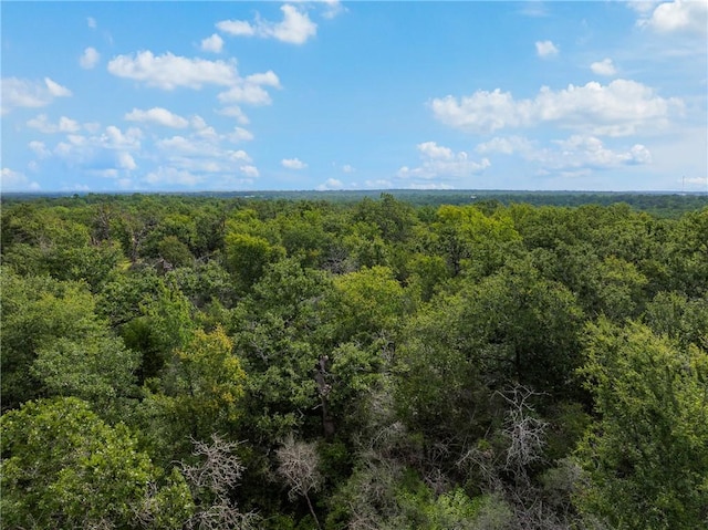 531 Moss Oak Dr, Somerville, TX 77879 - photo 4