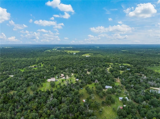 531 Moss Oak Dr, Somerville, TX 77879 - photo 6