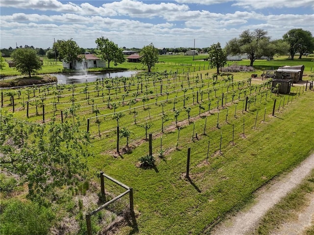 32287 Rochen Rd, Waller, TX 77484 - view of community with a water view and a rural view