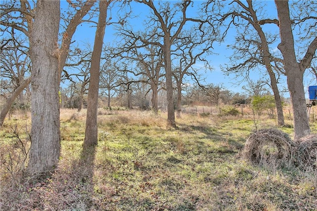 24248 State Highway 6 S, Navasota, TX 77868 - view of landscape