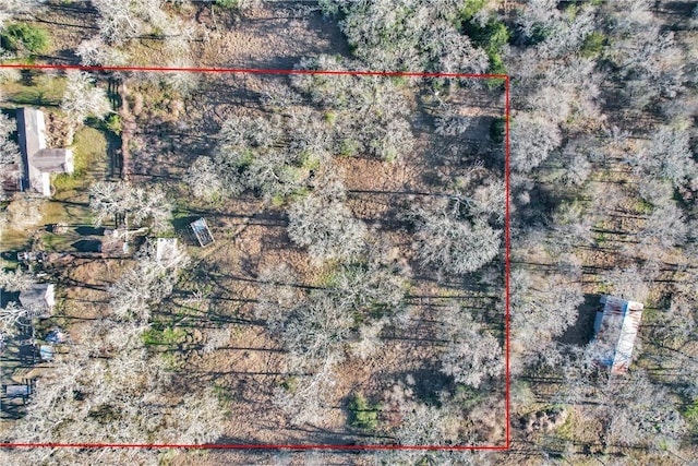 24248 State Highway 6 S, Navasota, TX 77868 - birds eye view of property