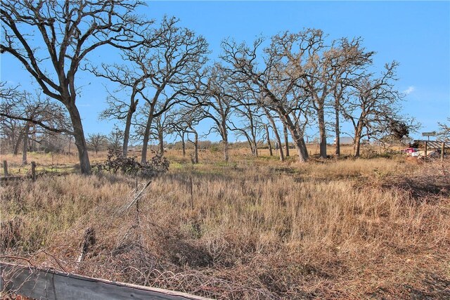 24248 State Highway 6 S, Navasota, TX 77868 - view of local wilderness with a rural view