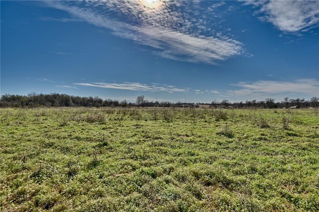 view of local wilderness with a rural view