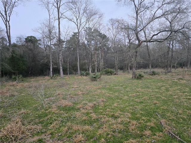 Listing photo 3 for 75 Oak Bend Dr, Huntsville TX 77320