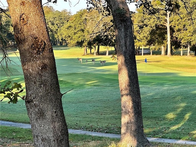 view of community featuring a lawn