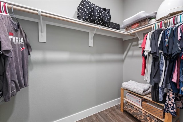 8729 Nathan Dr, Waller, TX 77484 - spacious closet featuring wood finished floors