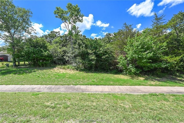 Listing photo 3 for 3994 Arboleda Dr, College Station TX 77845