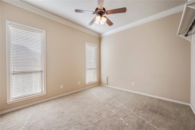 904 Plainfield Ct, College Station, TX 77845 - carpeted spare room with baseboards, crown molding, and ceiling fan