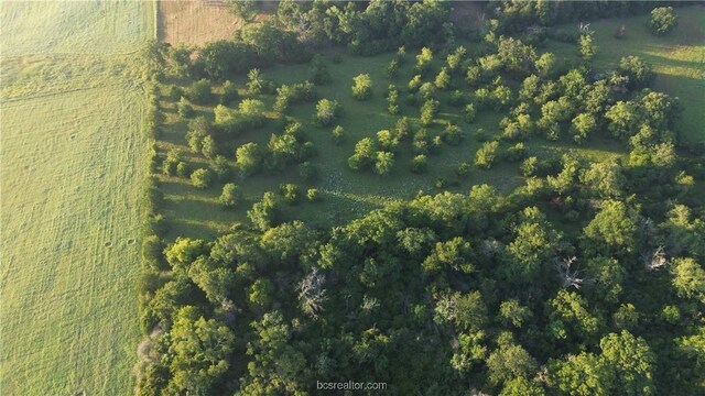 TBD Ferrill Creek Road, Bryan, TX 77808 - photo 2