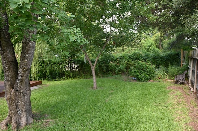 400 Princeton Cir, College Station, TX 77840 - view of yard