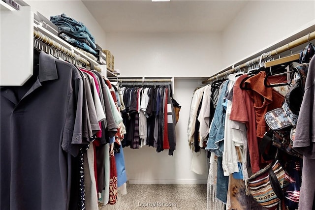 walk in closet featuring carpet flooring