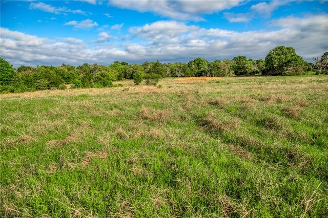 TBD(56.135Acres) County Road 125, Ledbetter, TX 78946 - photo 22