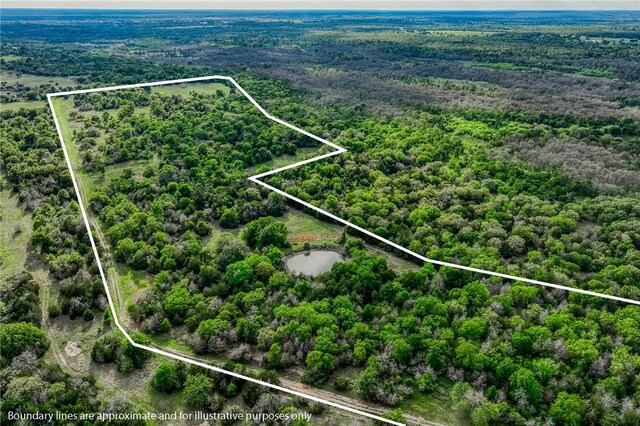 TBD(56.135Acres) County Road 125, Ledbetter, TX 78946 - photo 34