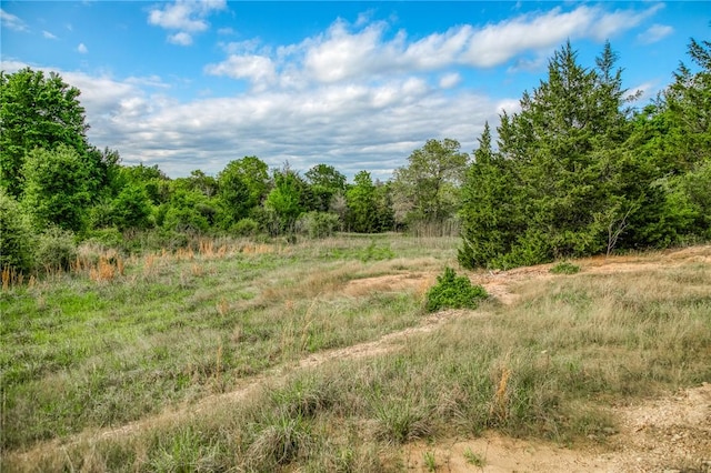 TBD(56.135Acres) County Road 125, Ledbetter, TX 78946 - photo 21