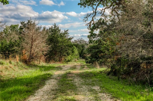 TBD(56.135Acres) County Road 125, Ledbetter, TX 78946 - photo 6