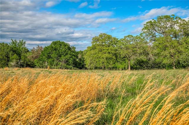 TBD(56.135Acres) County Road 125, Ledbetter, TX 78946 - photo 23