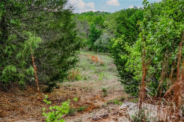 TBD(56.135Acres) County Road 125, Ledbetter, TX 78946 - photo 14