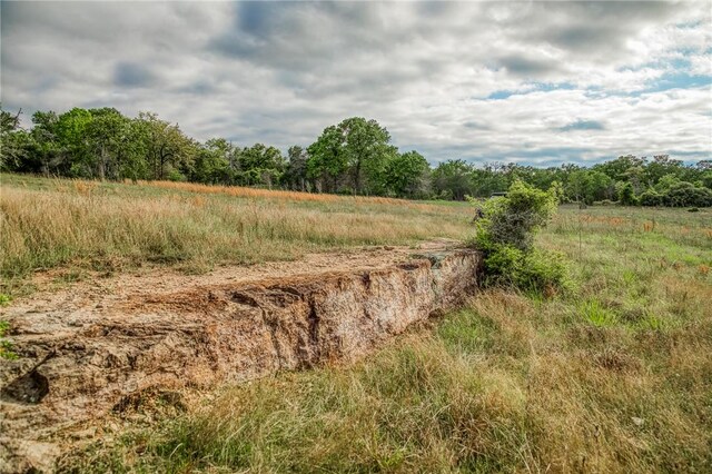 TBD(56.135Acres) County Road 125, Ledbetter, TX 78946 - photo 2