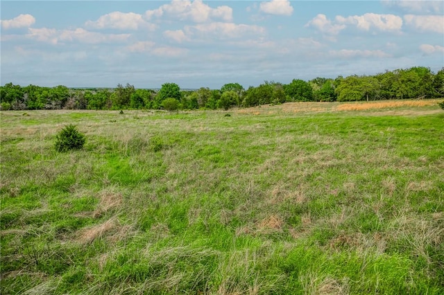TBD(56.135Acres) County Road 125, Ledbetter, TX 78946 - photo 27