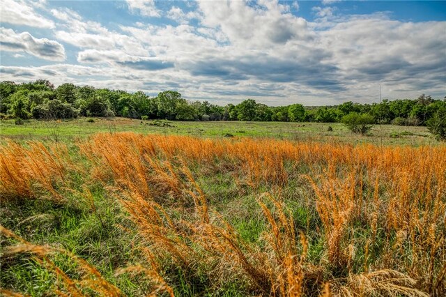 TBD(56.135Acres) County Road 125, Ledbetter, TX 78946 - photo 20