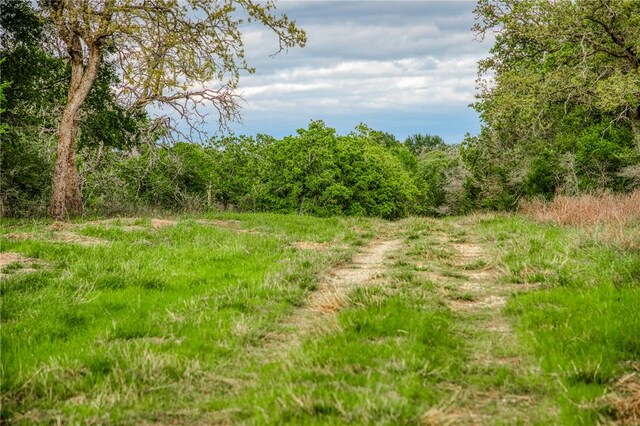 TBD(56.135Acres) County Road 125, Ledbetter, TX 78946 - photo 8