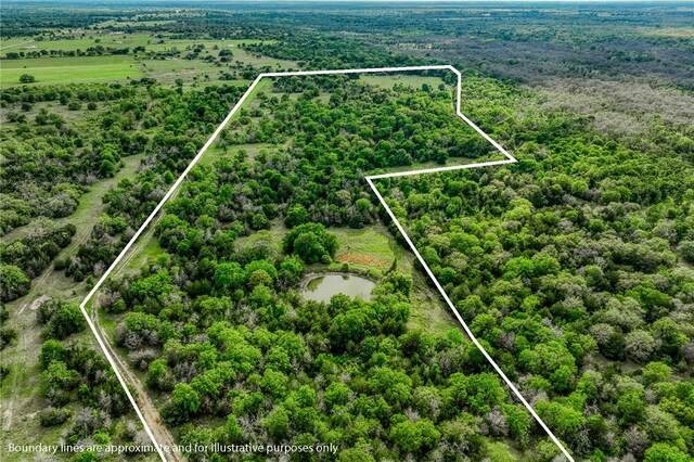 TBD(56.135Acres) County Road 125, Ledbetter, TX 78946 - photo 32