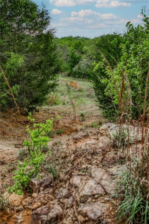 TBD(56.135Acres) County Road 125, Ledbetter, TX 78946 - photo 17