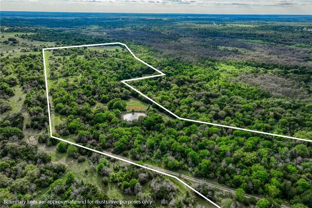 TBD(56.135Acres) County Road 125, Ledbetter, TX 78946 - photo 33