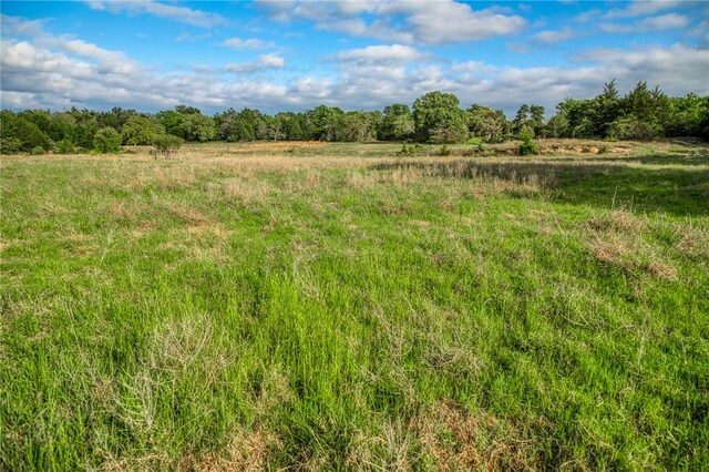 TBD(56.135Acres) County Road 125, Ledbetter, TX 78946 - photo 24