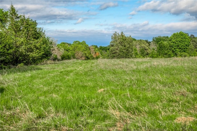 TBD(56.135Acres) County Road 125, Ledbetter, TX 78946 - photo 26