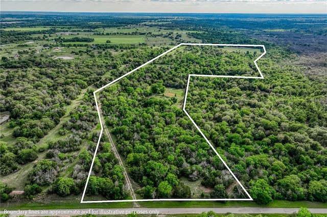 TBD(56.135Acres) County Road 125, Ledbetter, TX 78946 - photo 12