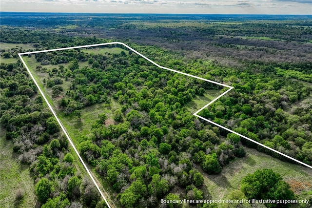 TBD(56.135Acres) County Road 125, Ledbetter, TX 78946 - photo 35