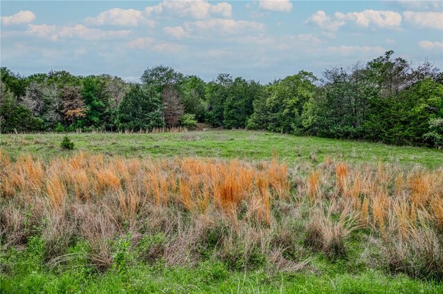 TBD(56.135Acres) County Road 125, Ledbetter, TX 78946 - photo 4