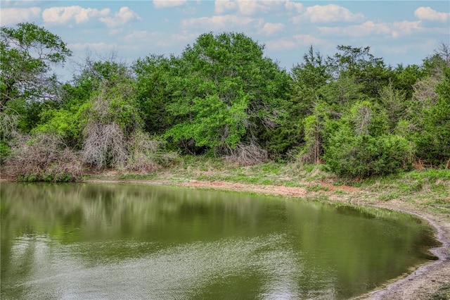 TBD(56.135Acres) County Road 125, Ledbetter, TX 78946 - photo 15