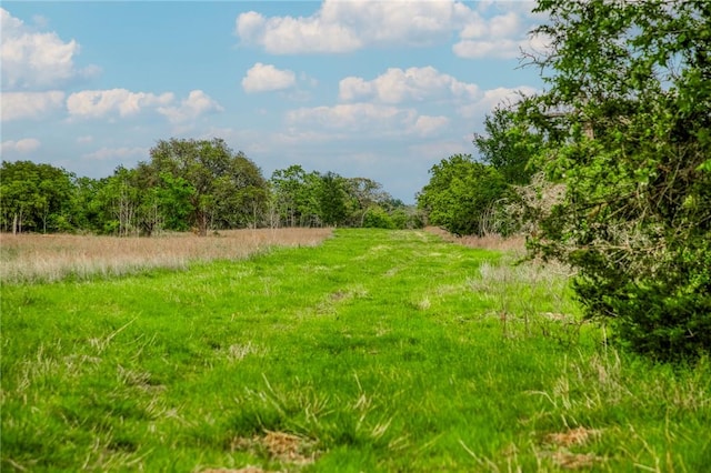 TBD(56.135Acres) County Road 125, Ledbetter, TX 78946 - photo 28