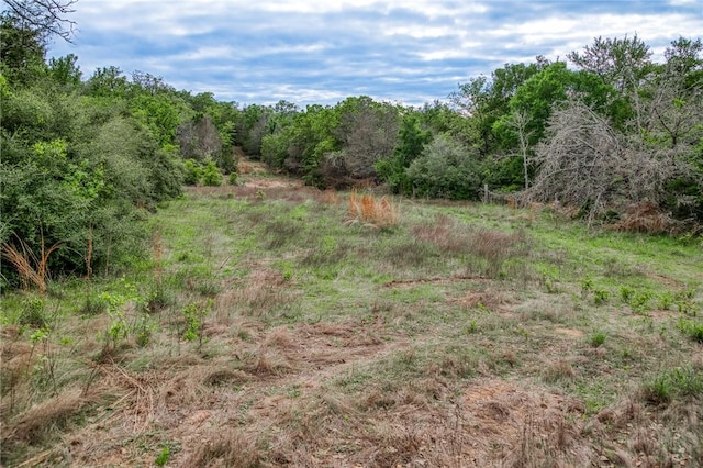 TBD(56.135Acres) County Road 125, Ledbetter, TX 78946 - photo 18