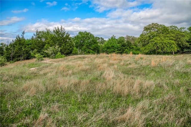 TBD(56.135Acres) County Road 125, Ledbetter, TX 78946 - photo 19