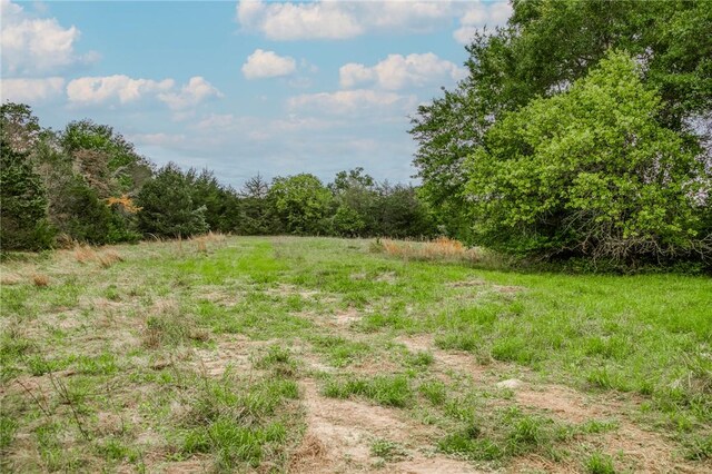TBD(56.135Acres) County Road 125, Ledbetter, TX 78946 - photo 9