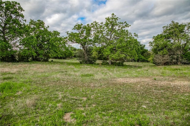 TBD(56.135Acres) County Road 125, Ledbetter, TX 78946 - photo 29