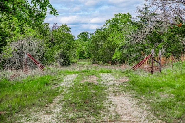 TBD(56.135Acres) County Road 125, Ledbetter, TX 78946 - photo 11
