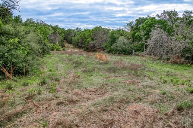 TBD(56.135Acres) County Road 125, Ledbetter, TX 78946 - photo 16