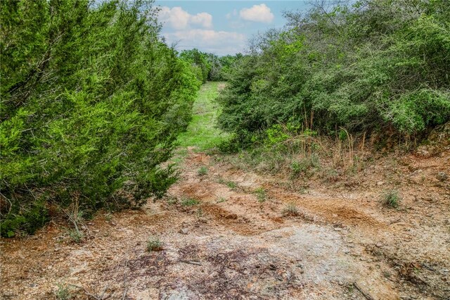 TBD(56.135Acres) County Road 125, Ledbetter, TX 78946 - photo 13
