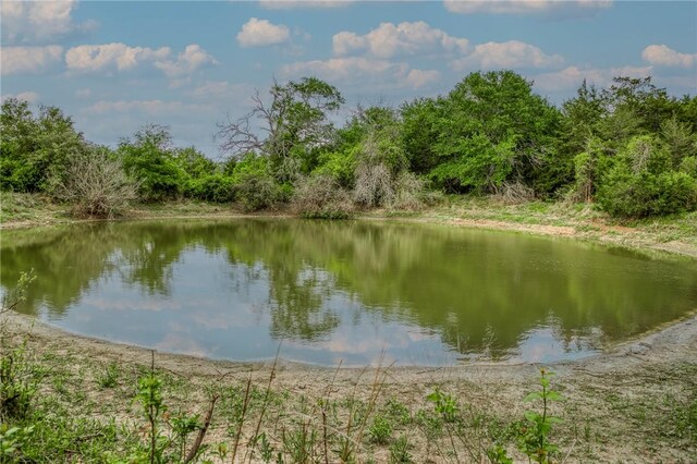 TBD(56.135Acres) County Road 125, Ledbetter, TX 78946 - photo 10