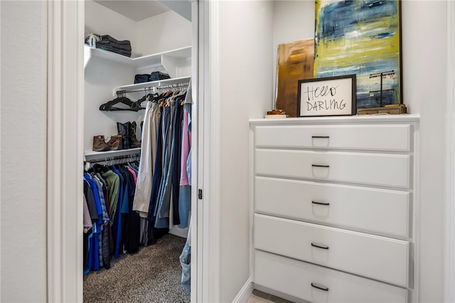 spacious closet featuring carpet