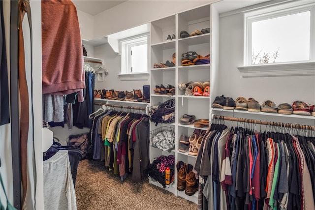 walk in closet with carpet