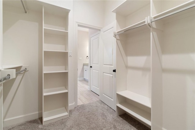 spacious closet with light carpet