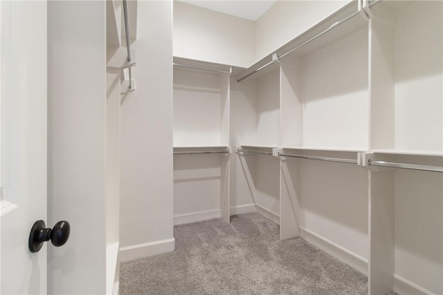 walk in closet featuring light carpet