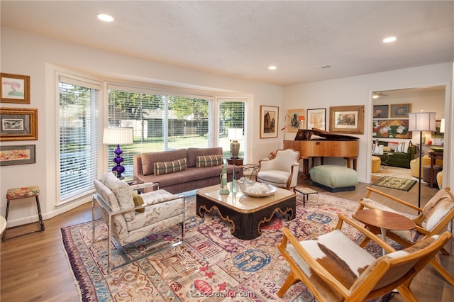 living room with wood-type flooring