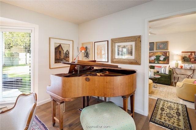 miscellaneous room with hardwood / wood-style flooring