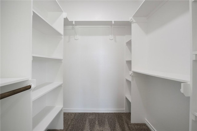 walk in closet with dark carpet